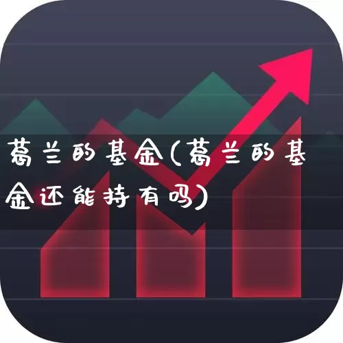 葛兰的基金(葛兰的基金还能持有吗)_https://www.wanyuyiyao.com_科创板_第1张