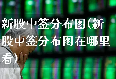 新股中签分布图(新股中签分布图在哪里看)_https://www.wanyuyiyao.com_深交所_第1张