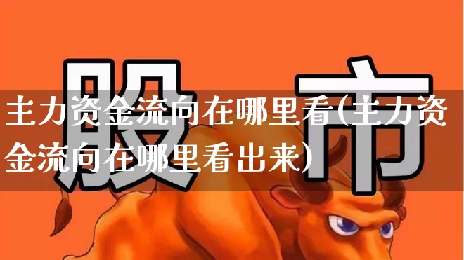 主力资金流向在哪里看(主力资金流向在哪里看出来)_https://www.wanyuyiyao.com_深交所_第1张