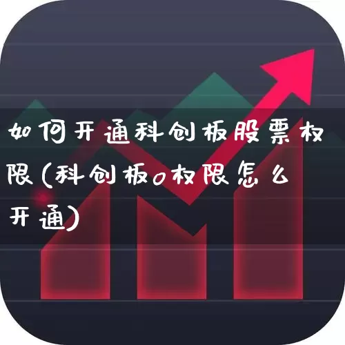 如何开通科创板股票权限(科创板o权限怎么开通)_https://www.wanyuyiyao.com_深交所_第1张
