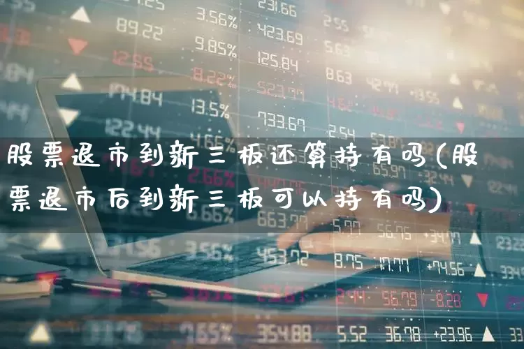 股票退市到新三板还算持有吗(股票退市后到新三板可以持有吗)_https://www.wanyuyiyao.com_深交所_第1张