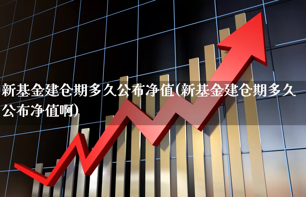 新基金建仓期多久公布净值(新基金建仓期多久公布净值啊)_https://www.wanyuyiyao.com_科创板_第1张