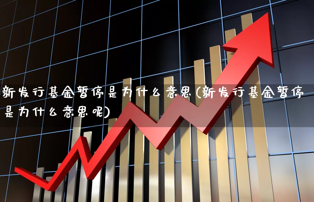 新发行基金暂停是为什么意思(新发行基金暂停是为什么意思呢)_https://www.wanyuyiyao.com_深交所_第1张