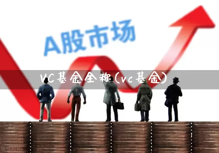 VC基金全称(vc基金)_https://www.wanyuyiyao.com_上交所_第1张