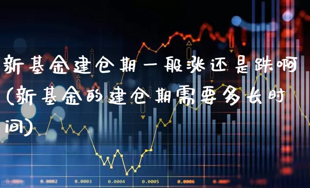 新基金建仓期一般涨还是跌啊(新基金的建仓期需要多长时间)_https://www.wanyuyiyao.com_创业板_第1张