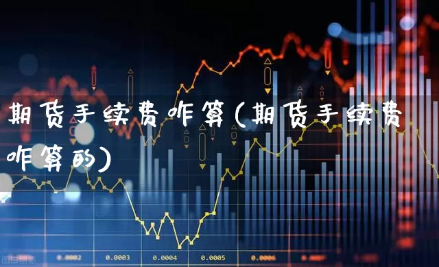 期货手续费咋算(期货手续费咋算的)_https://www.wanyuyiyao.com_上交所_第1张
