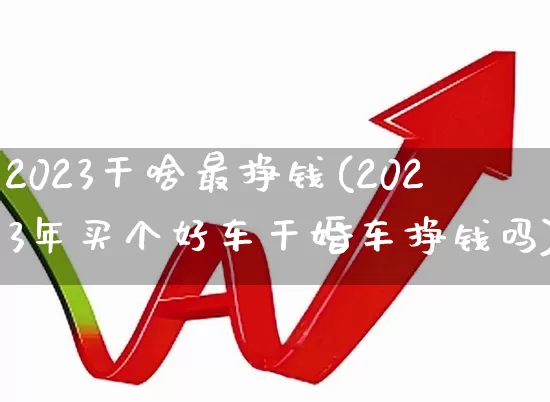 2023干啥最挣钱(2023年买个好车干婚车挣钱吗)_https://www.wanyuyiyao.com_上交所_第1张