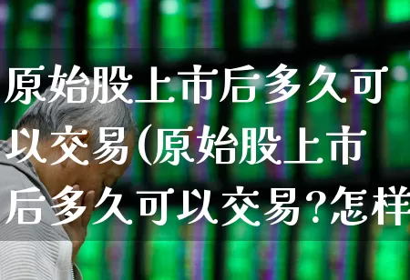 原始股上市后多久可以交易(原始股上市后多久可以交易?怎样进行交易?)_https://www.wanyuyiyao.com_创业板_第1张