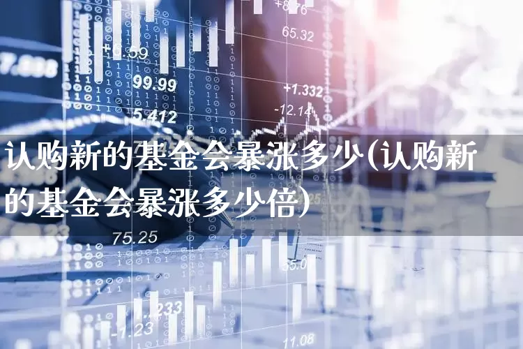 认购新的基金会暴涨多少(认购新的基金会暴涨多少倍)_https://www.wanyuyiyao.com_北交所_第1张