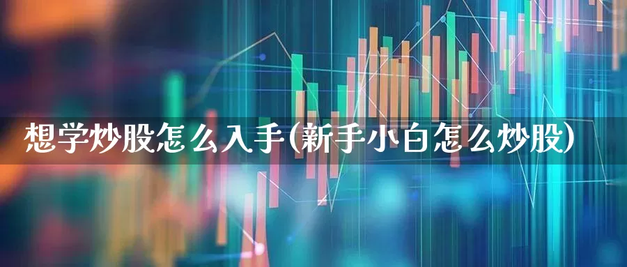 想学炒股怎么入手(新手小白怎么炒股)_https://www.wanyuyiyao.com_上交所_第1张