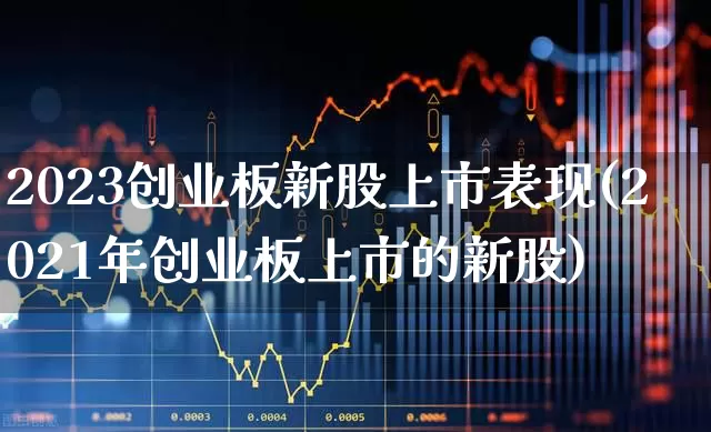 2023创业板新股上市表现(2021年创业板上市的新股)_https://www.wanyuyiyao.com_上交所_第1张