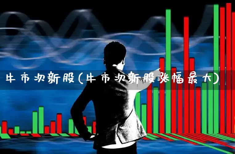 牛市次新股(牛市次新股涨幅最大)_https://www.wanyuyiyao.com_深交所_第1张