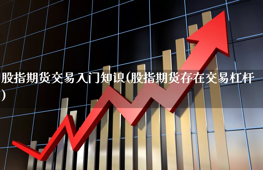 股指期货交易入门知识(股指期货存在交易杠杆)_https://www.wanyuyiyao.com_深交所_第1张