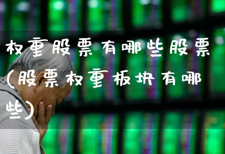 权重股票有哪些股票(股票权重板块有哪些)_https://www.wanyuyiyao.com_上交所_第1张