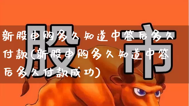 新股申购多久知道中签后多久付款(新股申购多久知道中签后多久付款成功)_https://www.wanyuyiyao.com_深交所_第1张