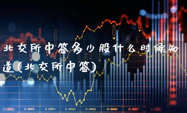 北交所中签多少股什么时候知道(北交所中签)_https://www.wanyuyiyao.com_科创板_第1张