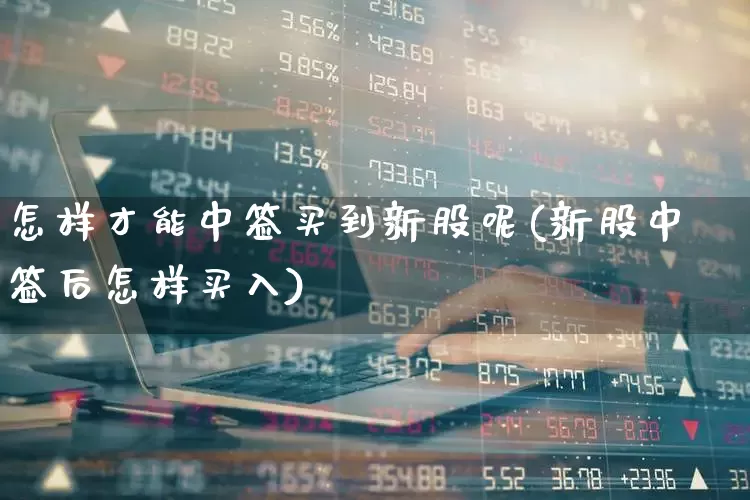怎样才能中签买到新股呢(新股中签后怎样买入)_https://www.wanyuyiyao.com_创业板_第1张
