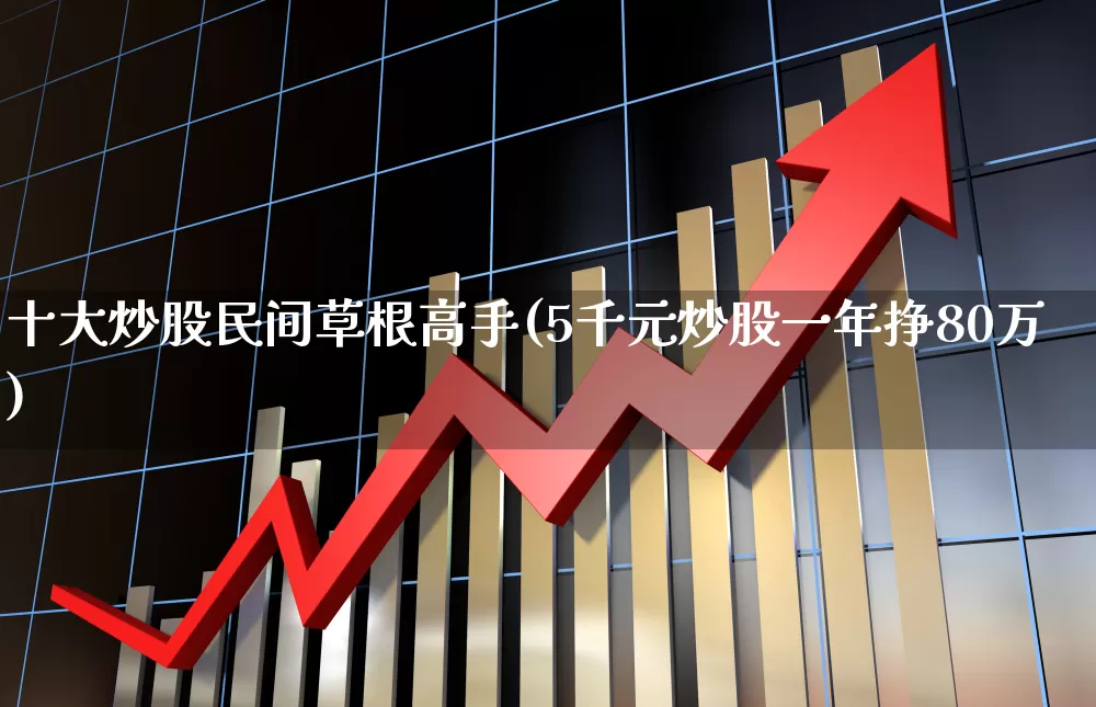 十大炒股民间草根高手(5千元炒股一年挣80万)_https://www.wanyuyiyao.com_科创板_第1张