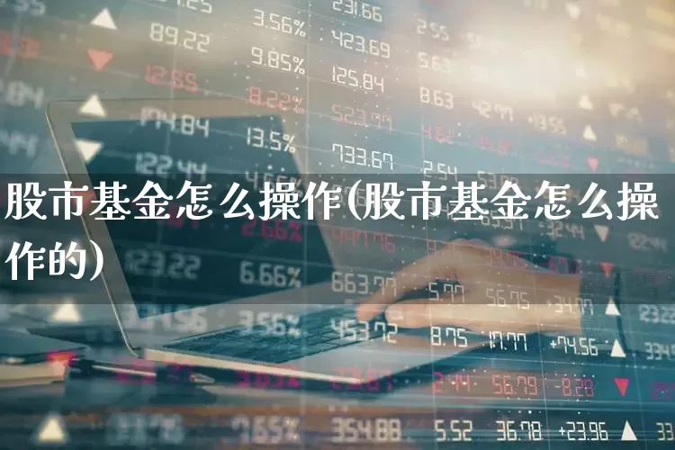 股市基金怎么操作(股市基金怎么操作的)_https://www.wanyuyiyao.com_上交所_第1张