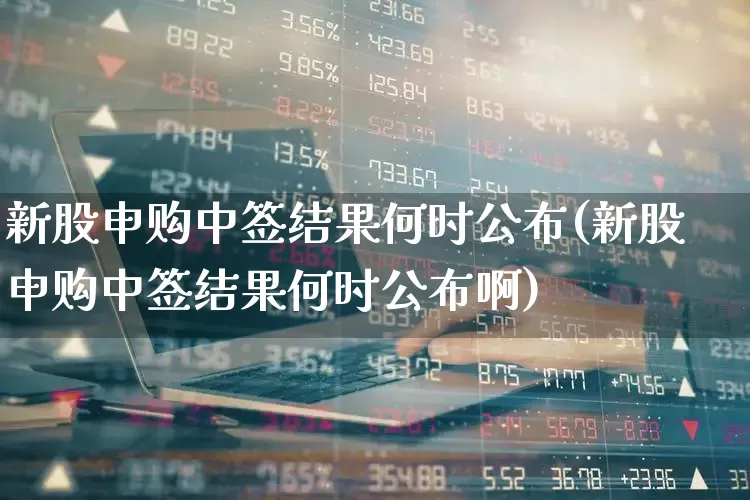 新股申购中签结果何时公布(新股申购中签结果何时公布啊)_https://www.wanyuyiyao.com_上交所_第1张