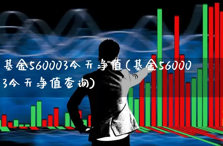基金560003今天净值(基金560003今天净值查询)_https://www.wanyuyiyao.com_上交所_第1张