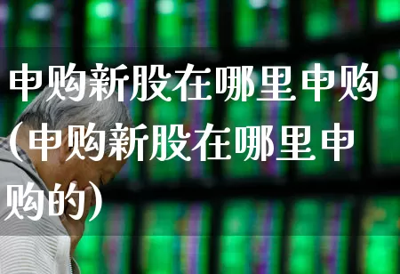 申购新股在哪里申购(申购新股在哪里申购的)_https://www.wanyuyiyao.com_创业板_第1张