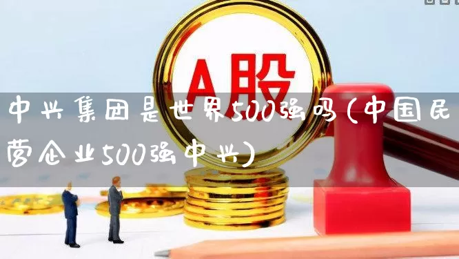 中兴集团是世界500强吗(中国民营企业500强中兴)_https://www.wanyuyiyao.com_科创板_第1张