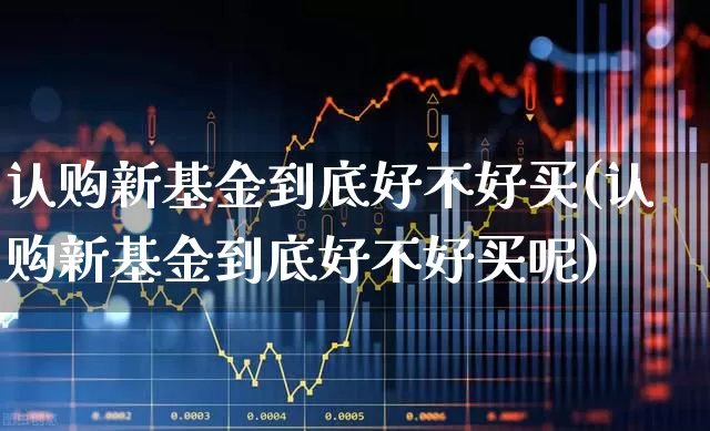 认购新基金到底好不好买(认购新基金到底好不好买呢)_https://www.wanyuyiyao.com_科创板_第1张