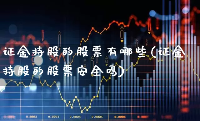 证金持股的股票有哪些(证金持股的股票安全吗)_https://www.wanyuyiyao.com_深交所_第1张