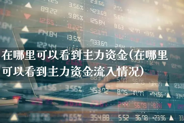 在哪里可以看到主力资金(在哪里可以看到主力资金流入情况)_https://www.wanyuyiyao.com_创业板_第1张