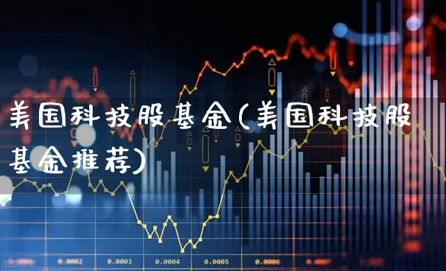 美国科技股基金(美国科技股基金推荐)_https://www.wanyuyiyao.com_上交所_第1张