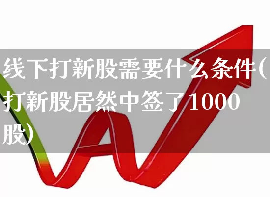 线下打新股需要什么条件(打新股居然中签了1000股)_https://www.wanyuyiyao.com_上交所_第1张