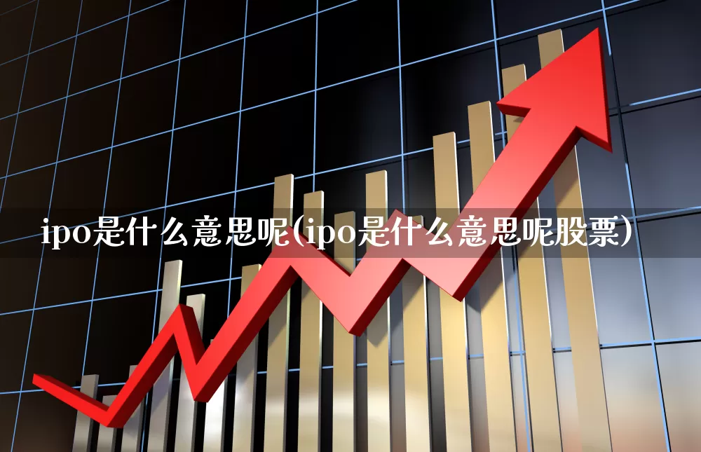 ipo是什么意思呢(ipo是什么意思呢股票)_https://www.wanyuyiyao.com_深交所_第1张