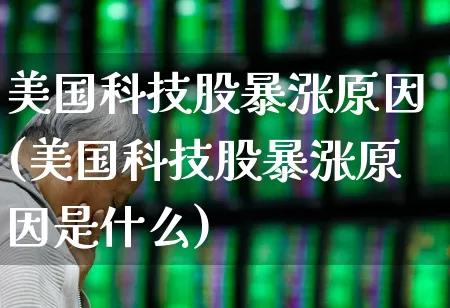 美国科技股暴涨原因(美国科技股暴涨原因是什么)_https://www.wanyuyiyao.com_上交所_第1张