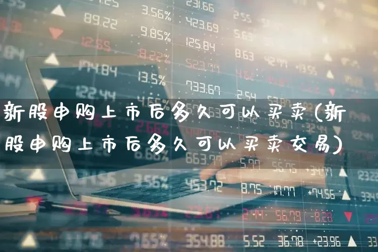 新股申购上市后多久可以买卖(新股申购上市后多久可以买卖交易)_https://www.wanyuyiyao.com_上交所_第1张