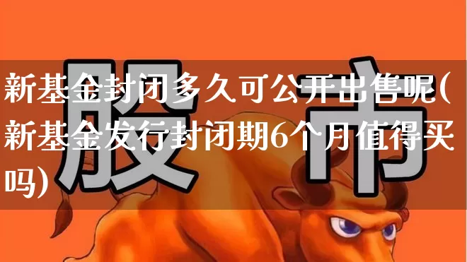 新基金封闭多久可公开出售呢(新基金发行封闭期6个月值得买吗)_https://www.wanyuyiyao.com_上交所_第1张