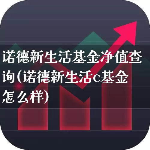 诺德新生活基金净值查询(诺德新生活c基金怎么样)_https://www.wanyuyiyao.com_上交所_第1张