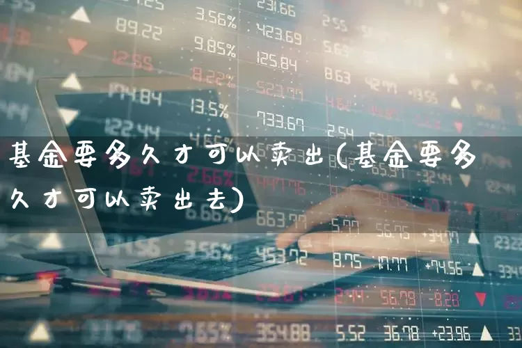 基金要多久才可以卖出(基金要多久才可以卖出去)_https://www.wanyuyiyao.com_上交所_第1张