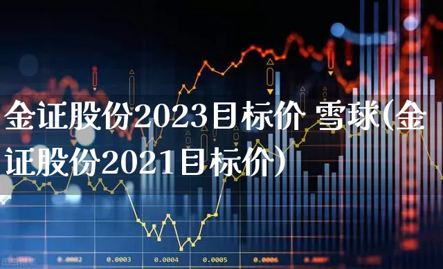 金证股份2023目标价 雪球(金证股份2021目标价)_https://www.wanyuyiyao.com_创业板_第1张