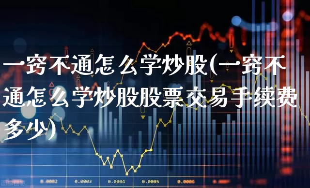 一窍不通怎么学炒股(一窍不通怎么学炒股股票交易手续费多少)_https://www.wanyuyiyao.com_科创板_第1张