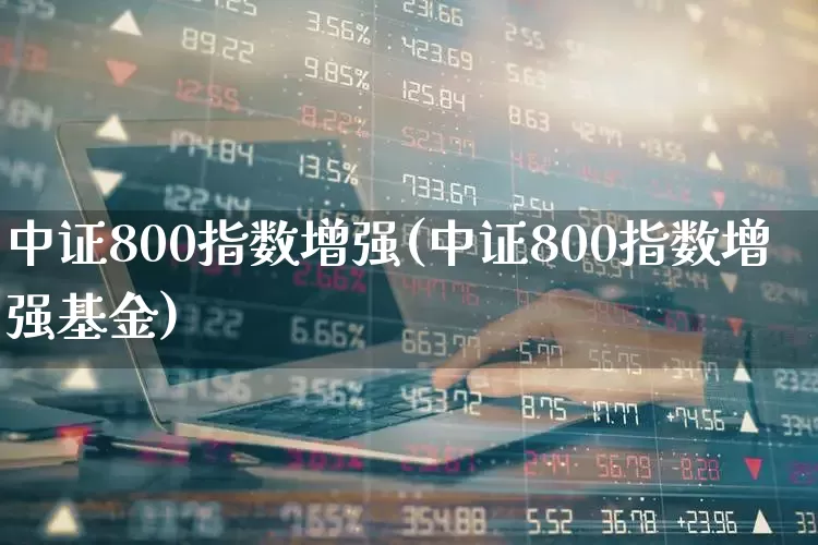 中证800指数增强(中证800指数增强基金)_https://www.wanyuyiyao.com_北交所_第1张