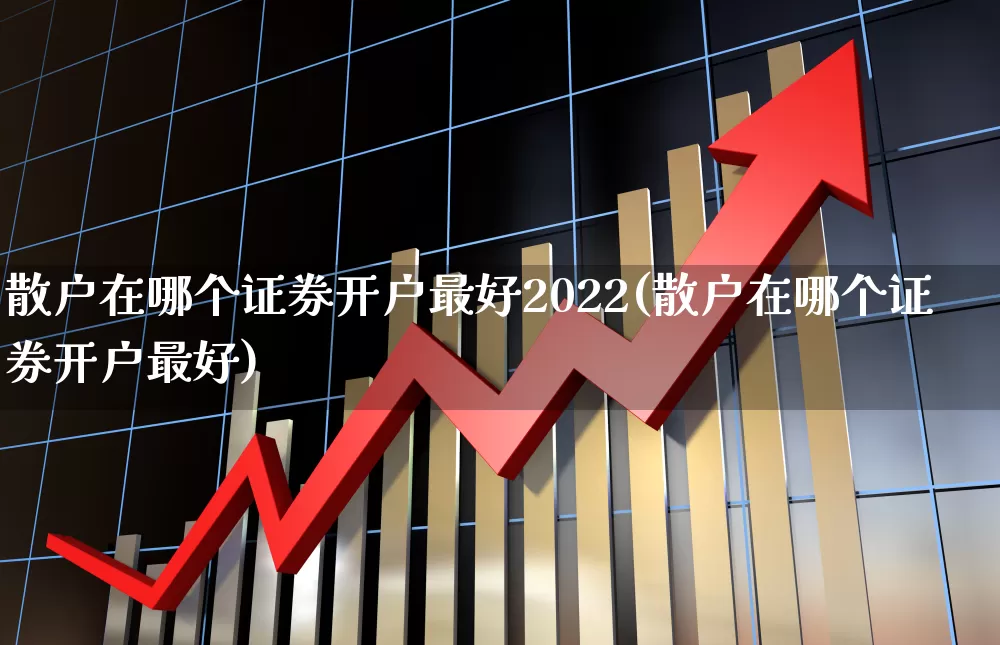 散户在哪个证券开户最好2022(散户在哪个证券开户最好)_https://www.wanyuyiyao.com_上交所_第1张