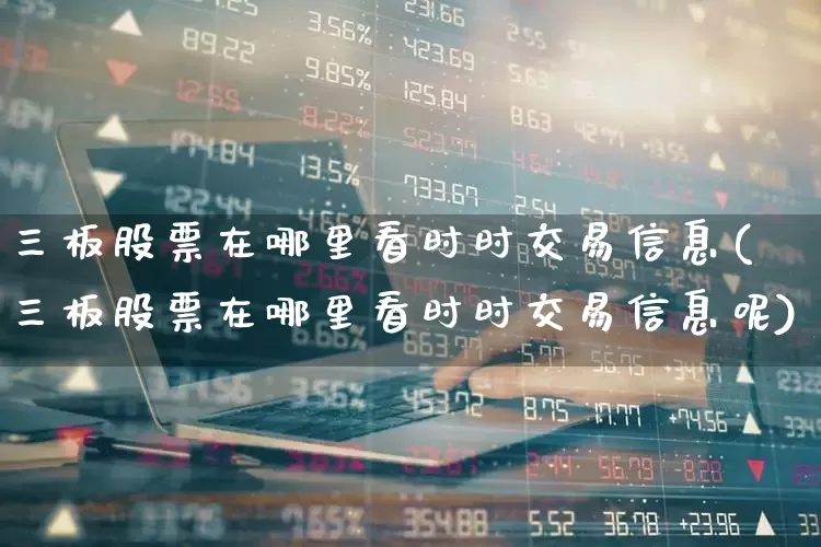 三板股票在哪里看时时交易信息(三板股票在哪里看时时交易信息呢)_https://www.wanyuyiyao.com_上交所_第1张