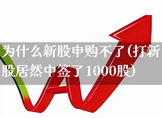 为什么新股申购不了(打新股居然中签了1000股)_https://www.wanyuyiyao.com_深交所_第1张