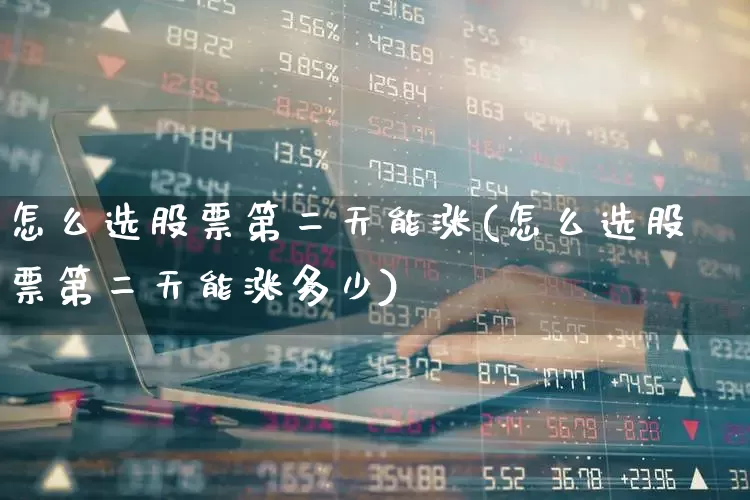 怎么选股票第二天能涨(怎么选股票第二天能涨多少)_https://www.wanyuyiyao.com_北交所_第1张