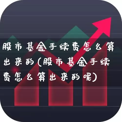 股市基金手续费怎么算出来的(股市基金手续费怎么算出来的呢)_https://www.wanyuyiyao.com_科创板_第1张