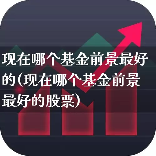现在哪个基金前景最好的(现在哪个基金前景最好的股票)_https://www.wanyuyiyao.com_深交所_第1张