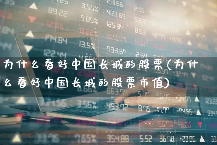 为什么看好中国长城的股票(为什么看好中国长城的股票市值)_https://www.wanyuyiyao.com_上交所_第1张