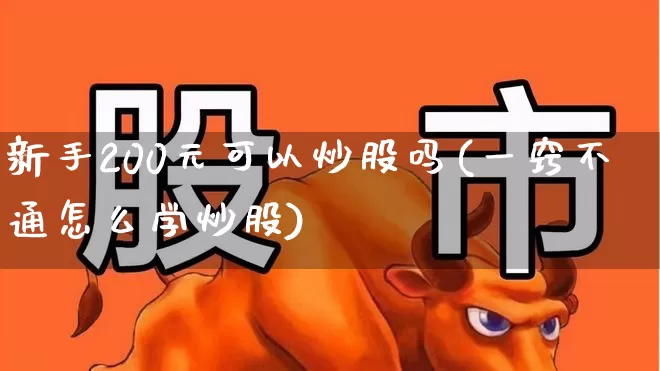 新手200元可以炒股吗(一窍不通怎么学炒股)_https://www.wanyuyiyao.com_上交所_第1张
