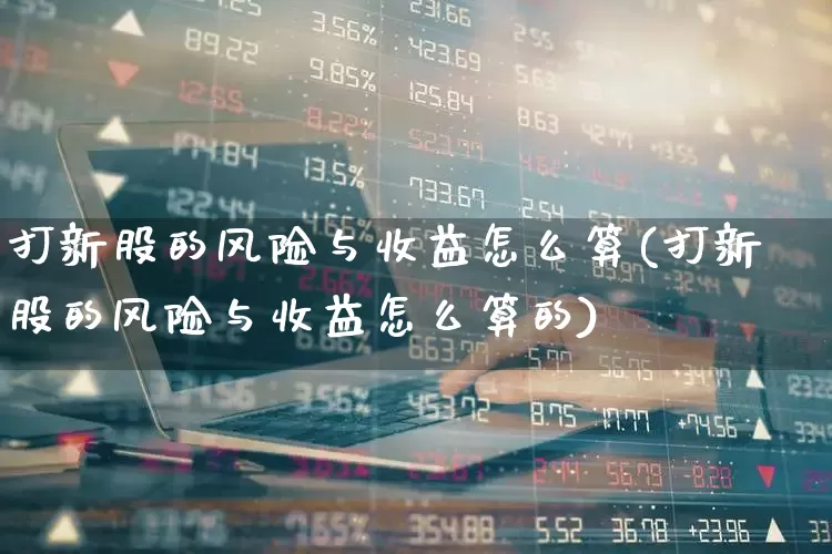 打新股的风险与收益怎么算(打新股的风险与收益怎么算的)_https://www.wanyuyiyao.com_深交所_第1张